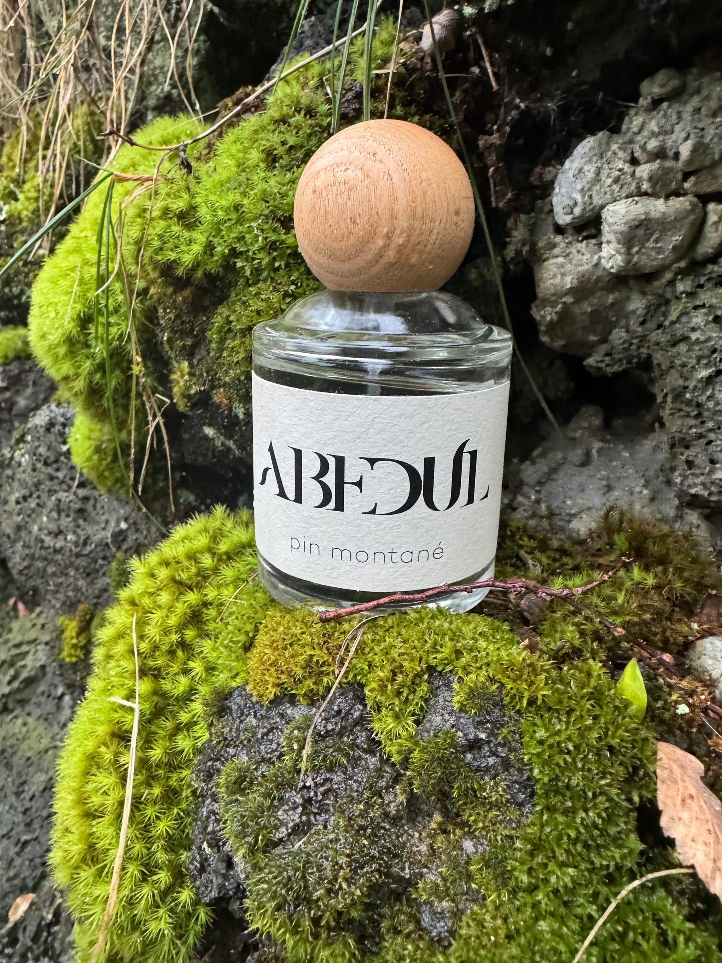 Perfume Abedul